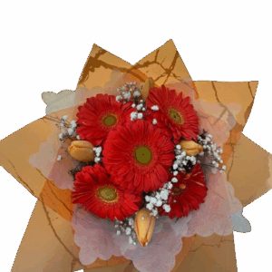 0d90fbc3-fbbe-40c4-be95-4be8f1812849-removebg-preview-300x300