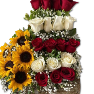 512ca8c2-1361-472c-95f5-ac7905583595__1_-removebg-preview-300x300