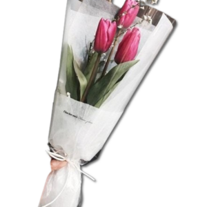 5e76570a-b55b-4a4c-919a-6e1e3cc460b1-removebg-preview-300x300