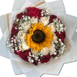 71556acb-7fa2-4b38-9e4f-1da33ceb0817-removebg-preview-300x300