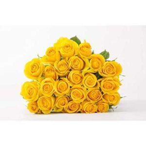 81vLO1VATGL._AC_SS450_-300x300