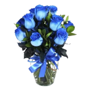 be70bb77-c23b-4b05-a8fa-b26a92fc26c6-removebg-preview-300x300