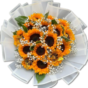 e423b368-4796-4db2-9903-11c934e54dc9-removebg-preview-300x300