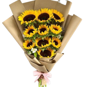 fec1ee34-7e5e-4629-961b-d026a16cc371-removebg-preview-removebg-preview-300x300