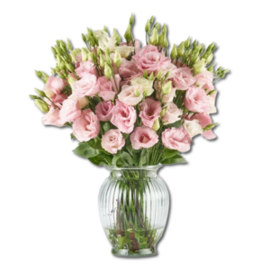 pink_lisi_medium_royal_windsor-removebg-preview-300x300